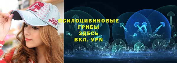 гидропоника Алзамай