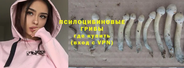 шишки Алексин