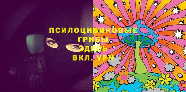 шишки Алексин