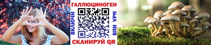 Галлюциногенные грибы прущие грибы  купить наркотик  Андреаполь 