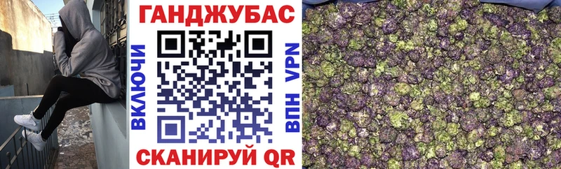 закладка  Андреаполь  Конопля гибрид 